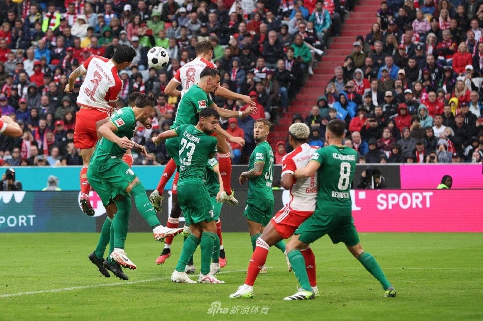 体育环境中 体育环境中